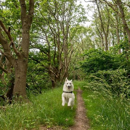 Slaaphutje BuitenWedde Westerwolde Buitenkant foto