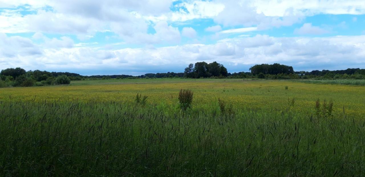 Slaaphutje BuitenWedde Westerwolde Buitenkant foto