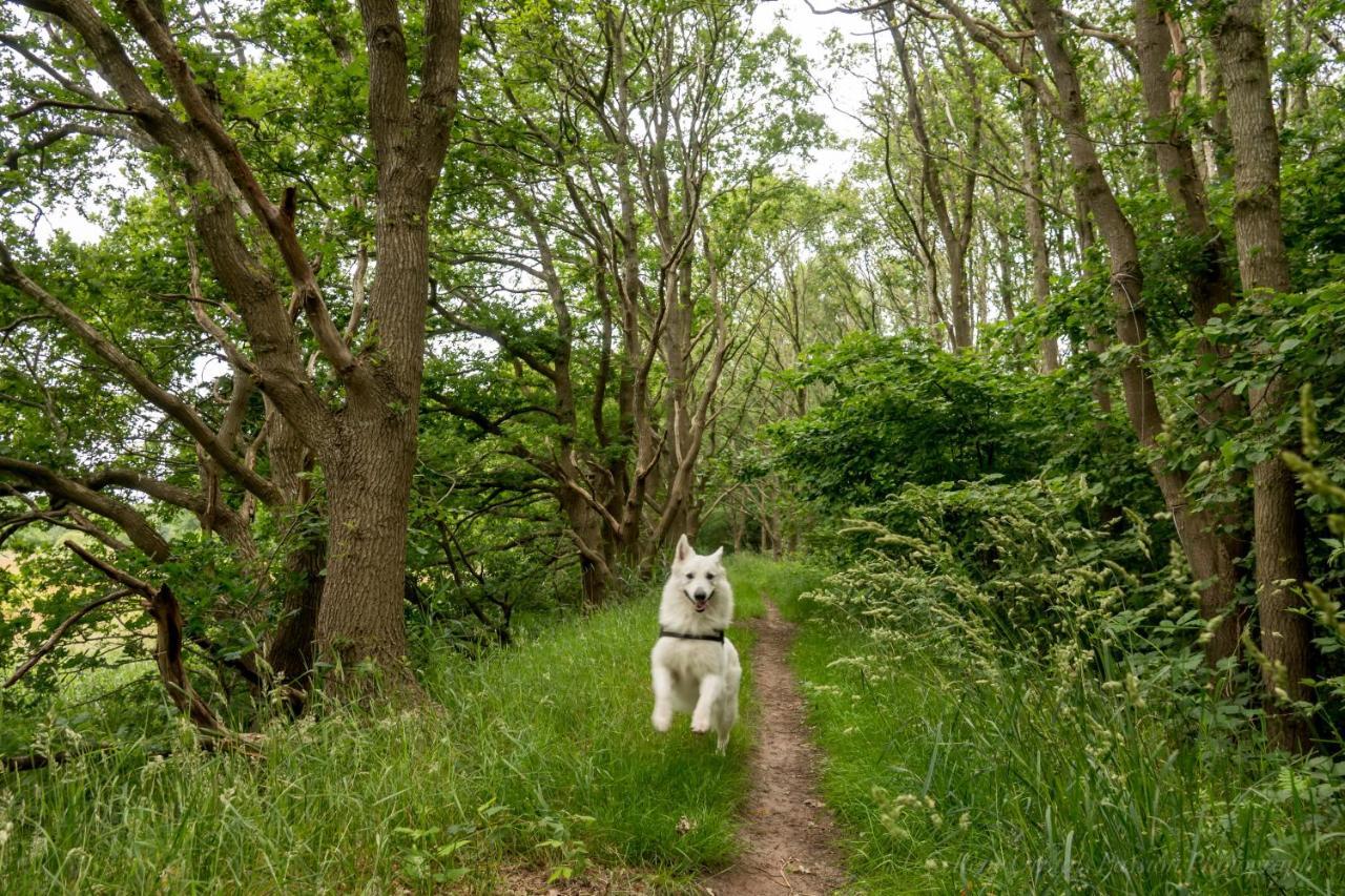 Slaaphutje BuitenWedde Westerwolde Buitenkant foto