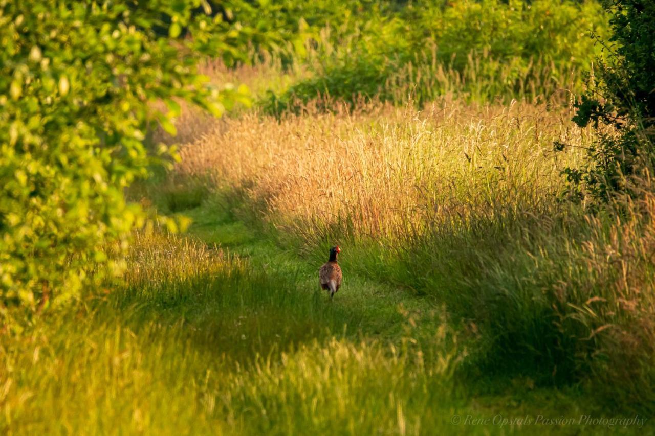 Slaaphutje BuitenWedde Westerwolde Buitenkant foto